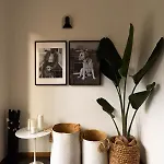 Hotel Adriatica Riccione