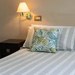 Hotel Adriatica Riccione