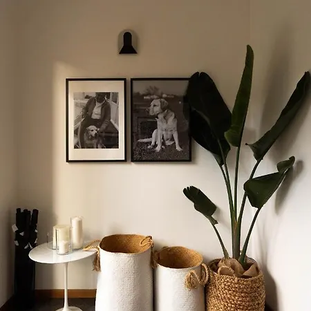 Szálloda Adriatica Con Piscina Riccione