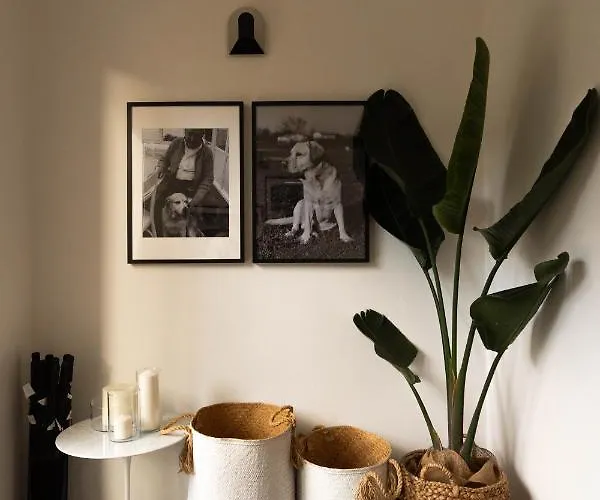 Hotel Adriatica Riccione