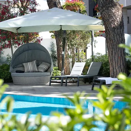 Hotel Adriatica Con Piscina 3*
